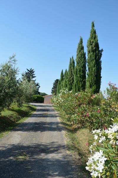 Agriturismo Rosa Dei Venti Pomarance Extérieur photo
